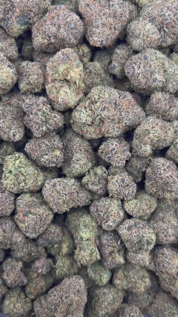 CHERRYLICIOUS #ZUP4653