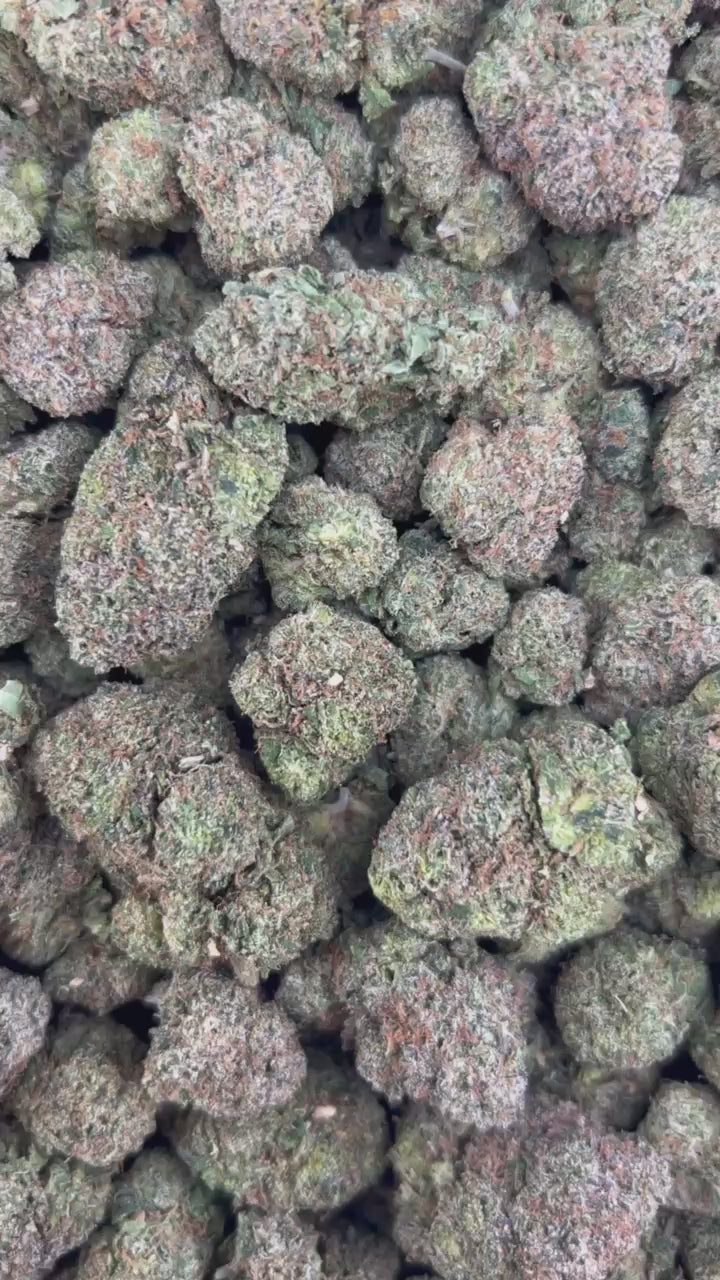 ZOUR TARTS #ZUP4612