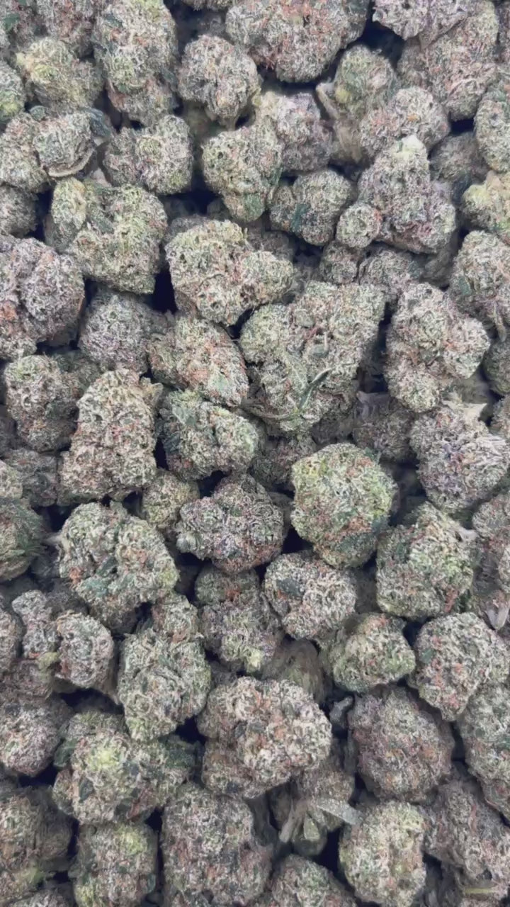 LEMON DROP #ZUP4609