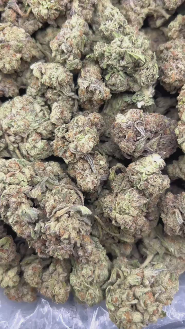 FORBIDDEN FRUIT #ZUP4683