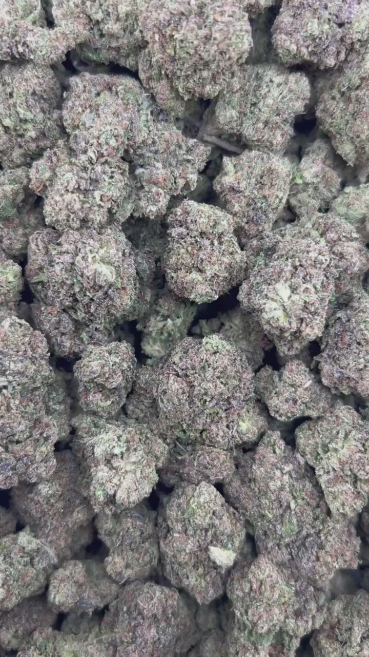 BLUE RAZZ CANDY #ZUP4639