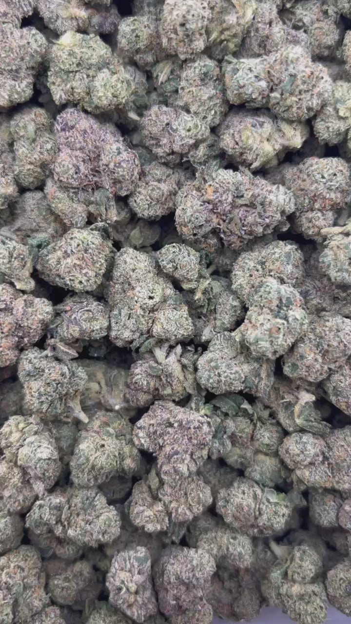 CHERRY PUNCH #ZUP4610