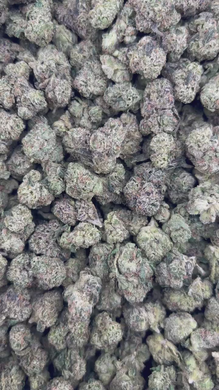 POP ROCK CANDY #ZUP4596