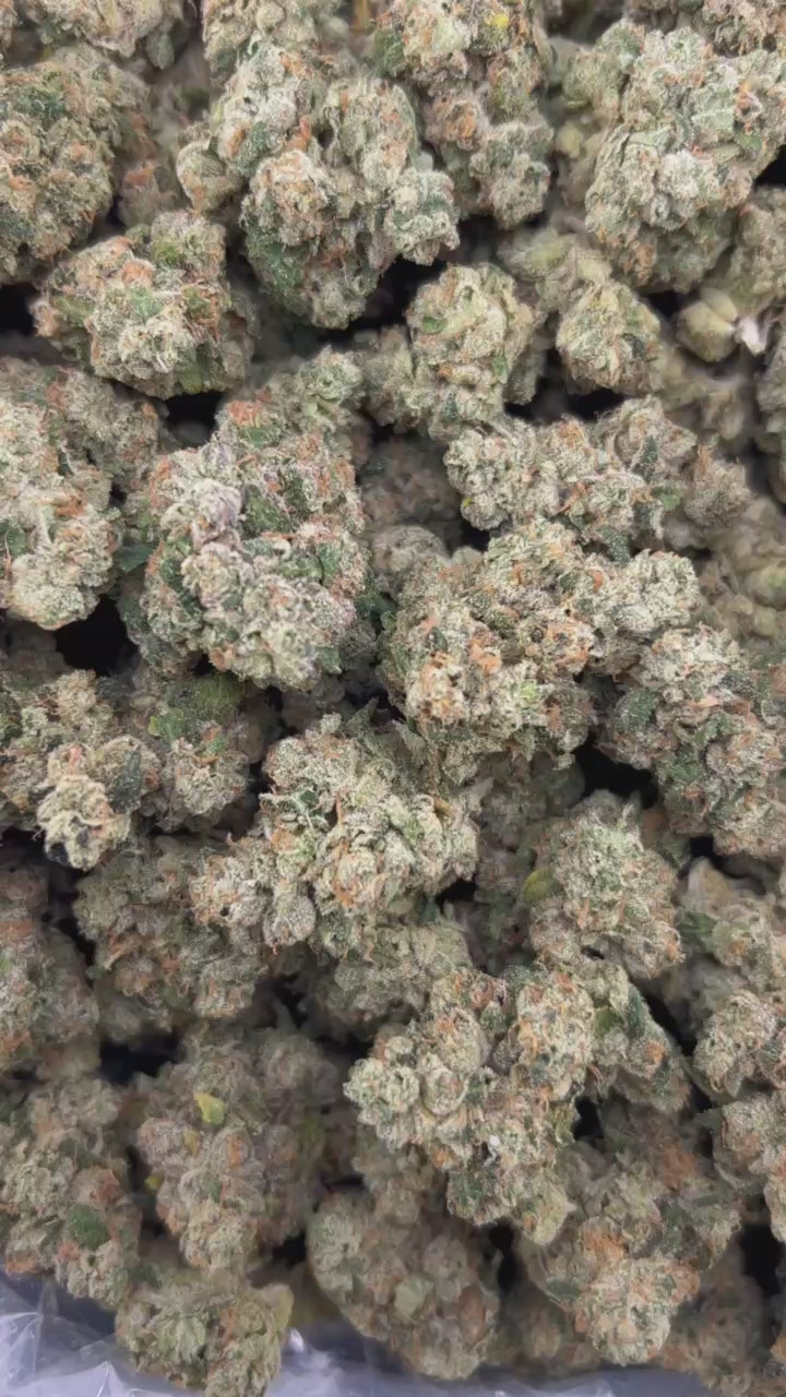 TOPANGA CANYON OG #ZUP4681