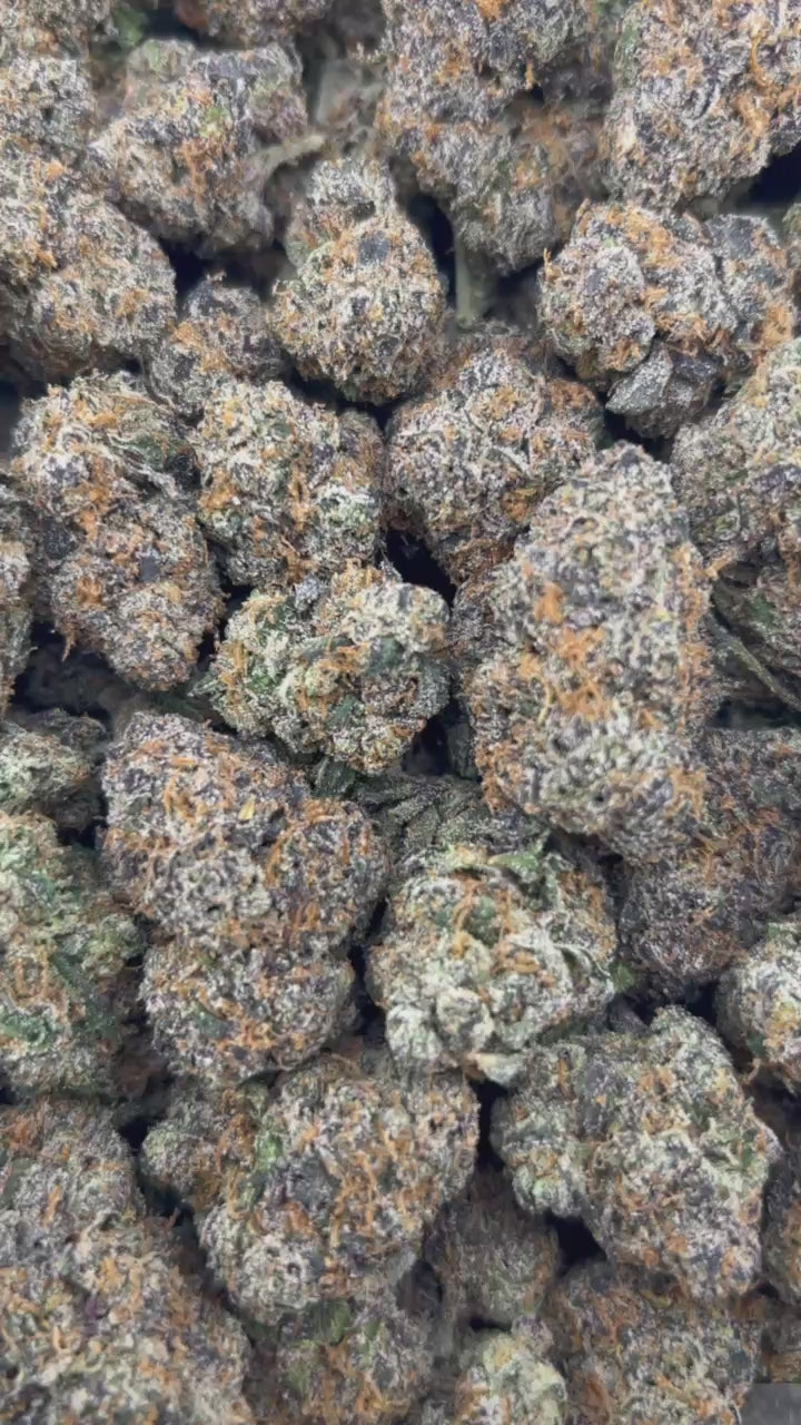GLACIER CANDY #ZUP4662