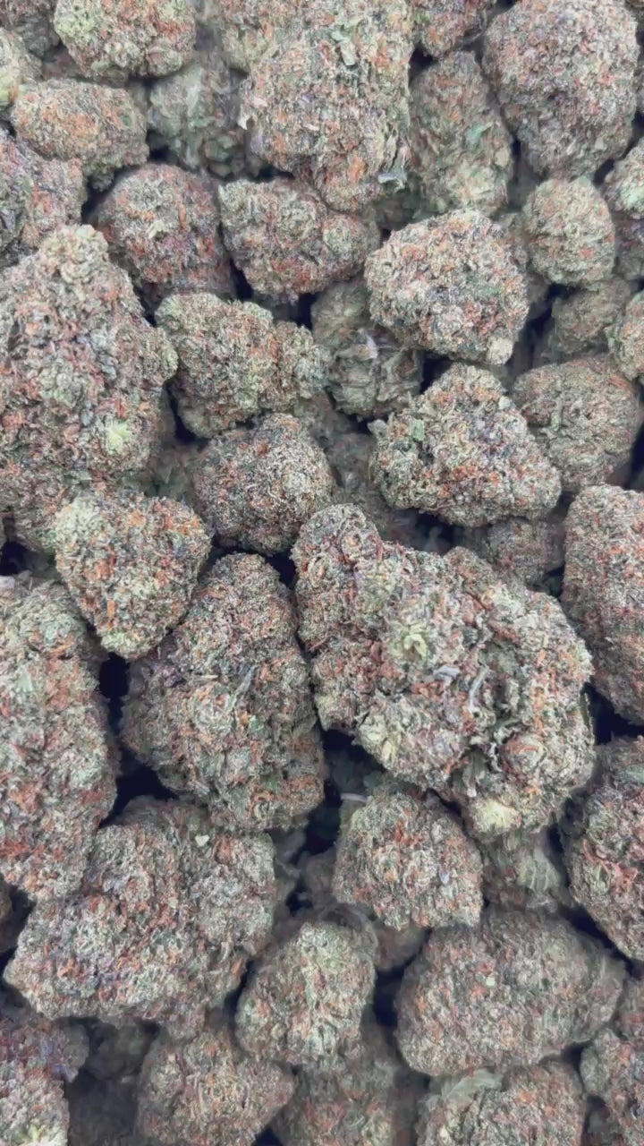 CANDYLATO #ZUP4575