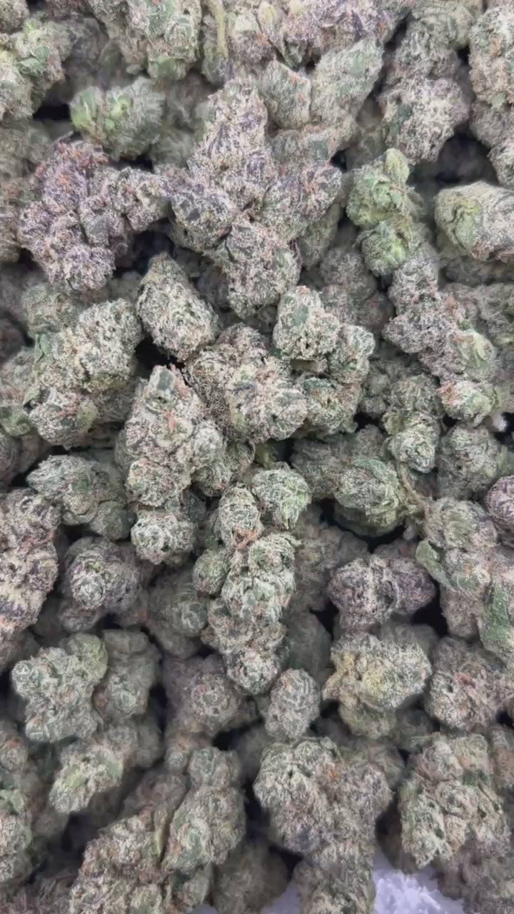BLACK CHERRY GELATO #ZUP4691
