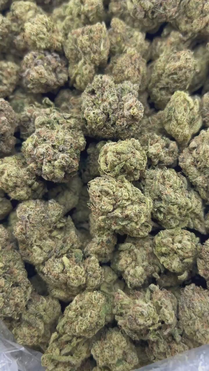 BLUEBERRY BOMBPOP ZUP#4514